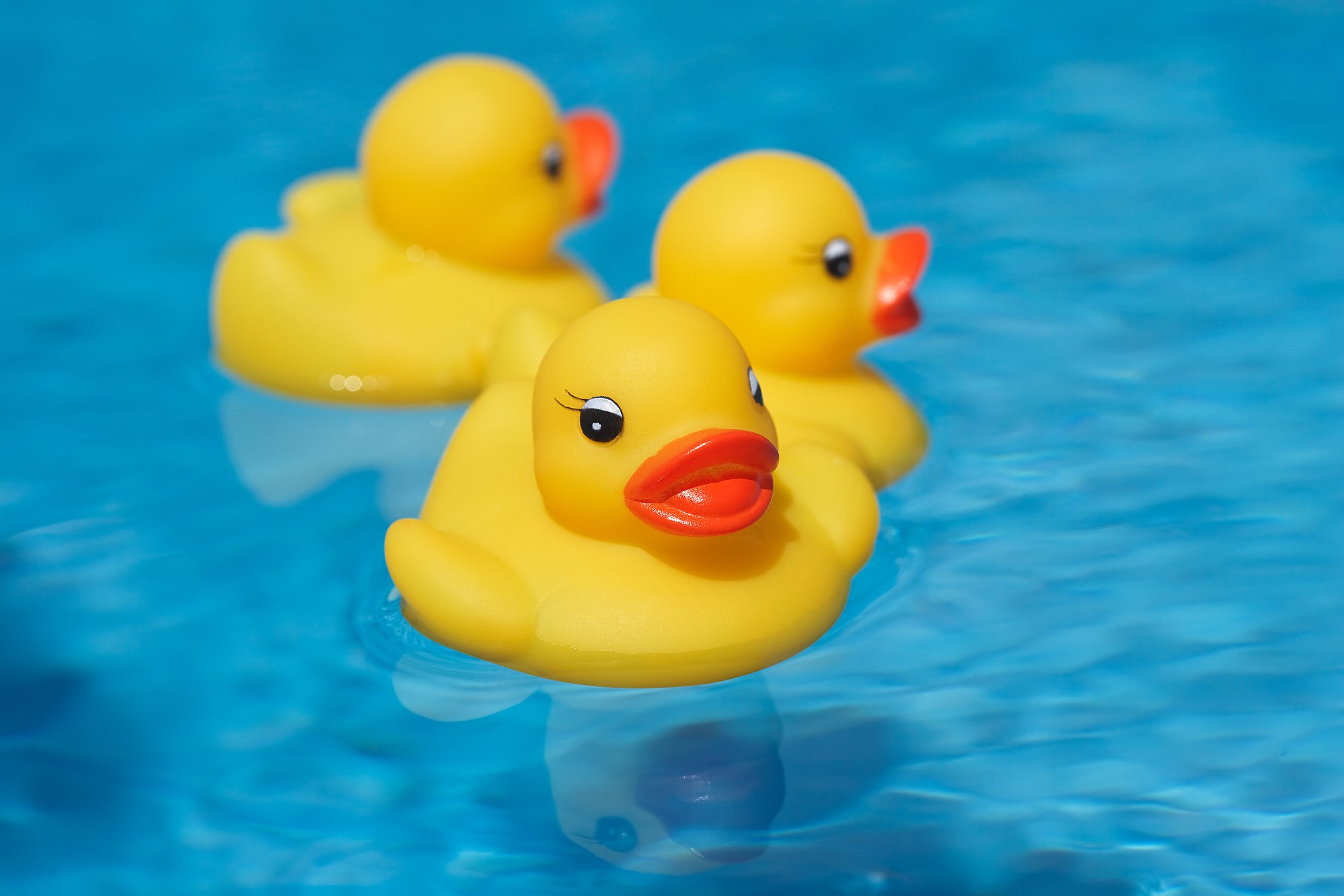 Rubber Ducky Meaning In English